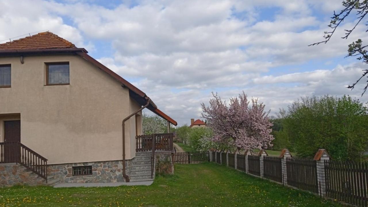 Wypoczynek Kocia Gora Villa Dziemiany Dış mekan fotoğraf