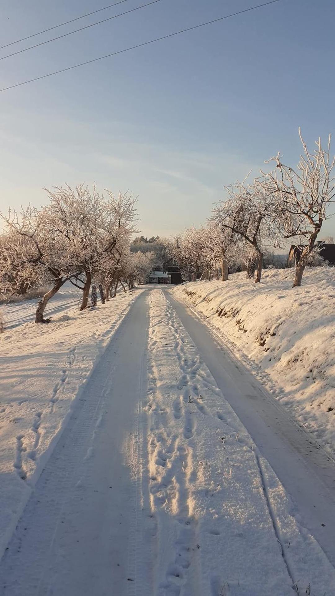 Wypoczynek Kocia Gora Villa Dziemiany Dış mekan fotoğraf