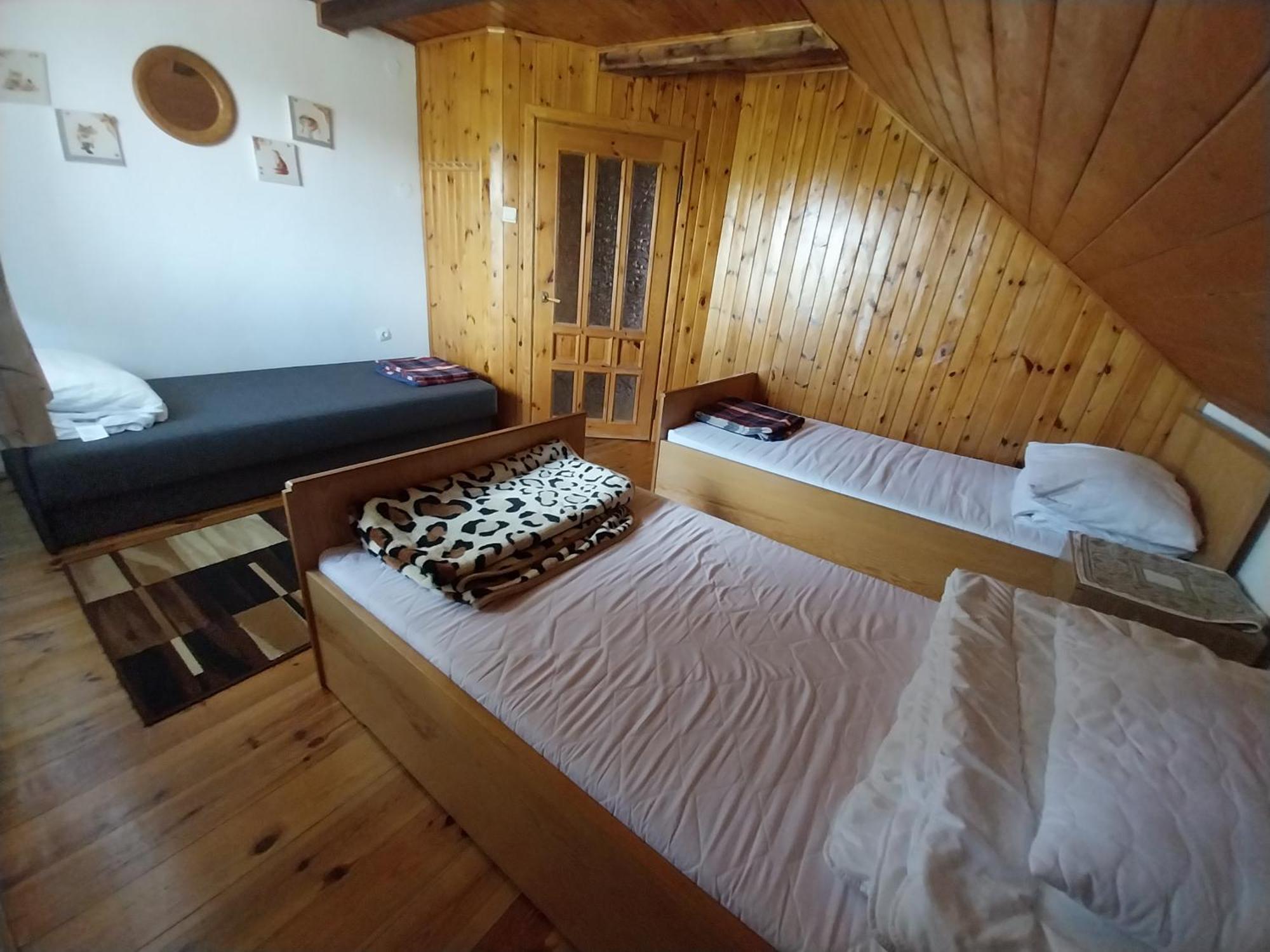 Wypoczynek Kocia Gora Villa Dziemiany Dış mekan fotoğraf