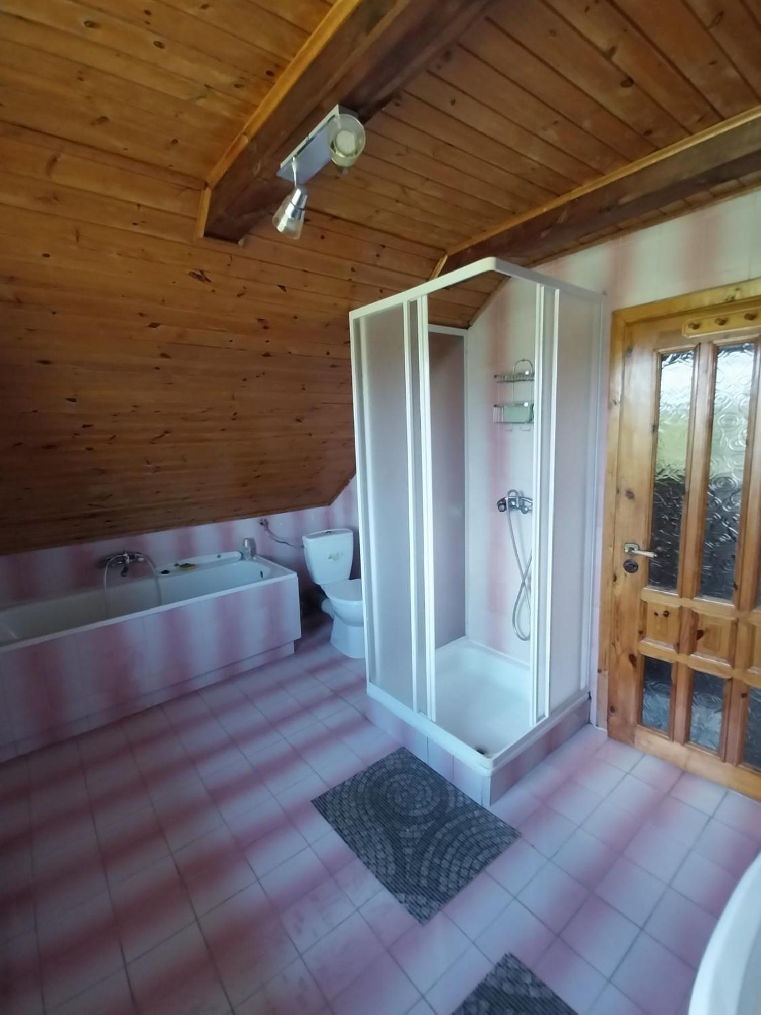 Wypoczynek Kocia Gora Villa Dziemiany Dış mekan fotoğraf