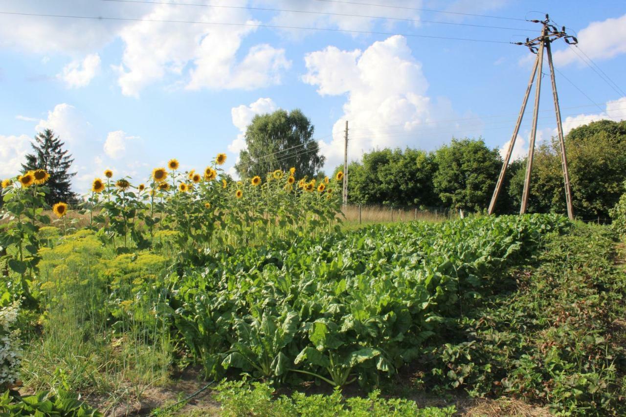 Wypoczynek Kocia Gora Villa Dziemiany Dış mekan fotoğraf