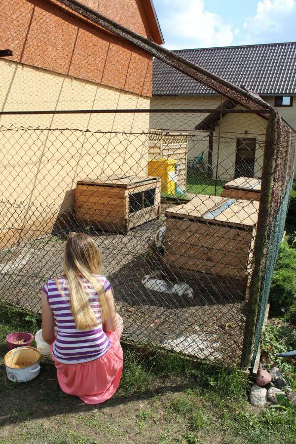 Wypoczynek Kocia Gora Villa Dziemiany Dış mekan fotoğraf